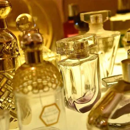 Appartamento La Verrière. Les Locations Isahora C'est Aussi Plusieurs Appart' De Standing à 2 Pas Du Château D'eu, Des Falaises Du Tréport, De Mers Les Bains Et Aux Portes De La Baie De Somme *