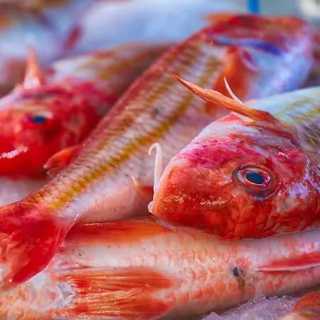 La Verrière. Les Locations Isahora C'est Aussi Plusieurs Appart' De Standing à 2 Pas Du Château D'eu, Des Falaises Du Tréport, De Mers Les Bains Et Aux Portes De La Baie De Somme * Eu (Senna Marittima)